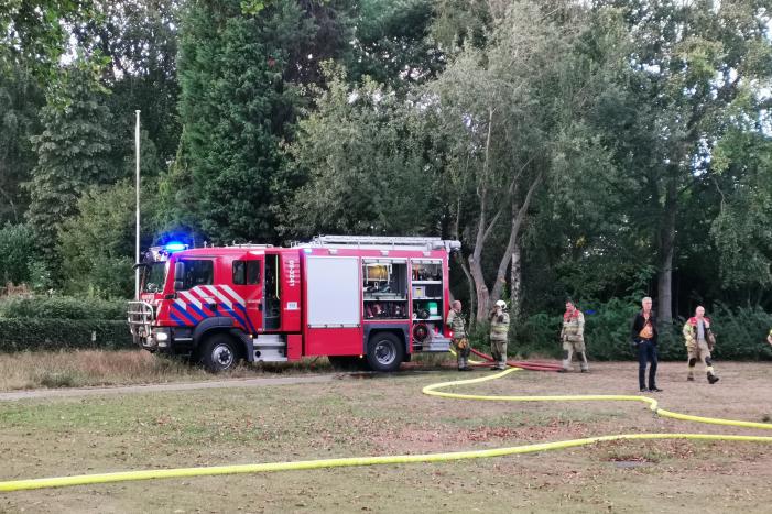 Hoge boom vliegt in brand