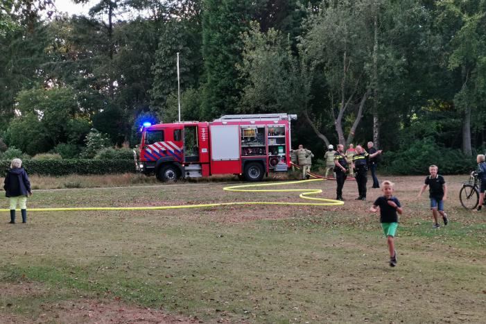 Hoge boom vliegt in brand