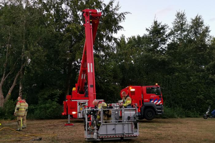 Hoge boom vliegt in brand