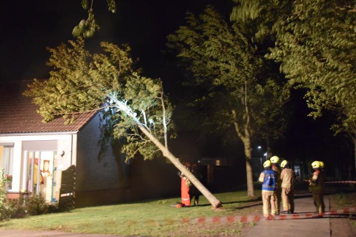 Boom waait om tegen woning