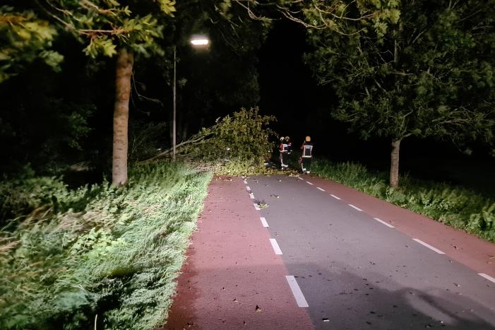 Boom valt op rijbaan