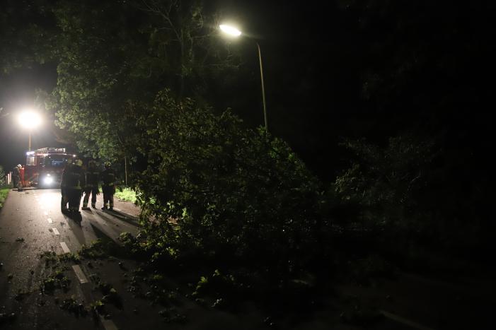 Boom valt op rijbaan