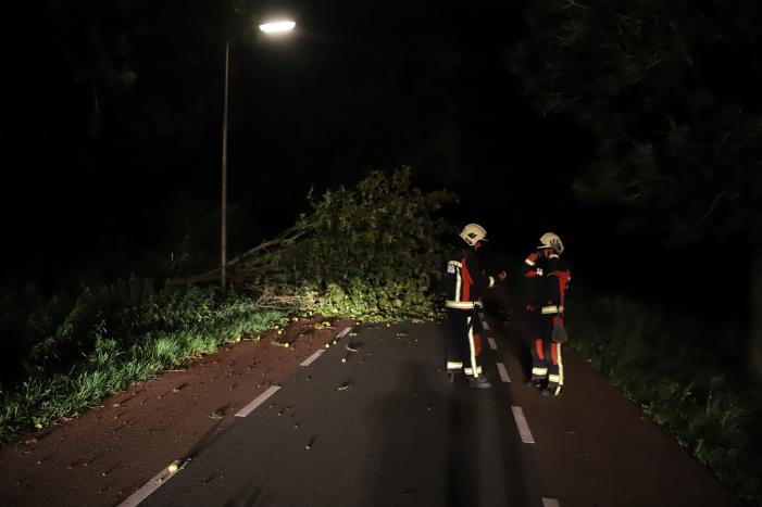 Boom valt op rijbaan