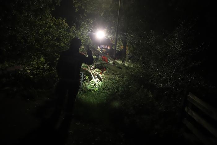 Boom valt op rijbaan