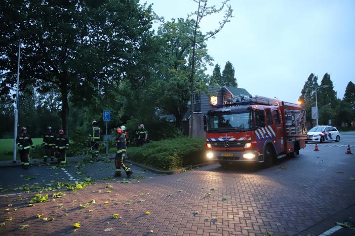 Grote tak breekt af belandt tussen twee auto's