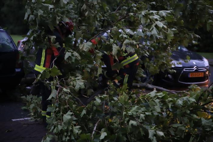 Grote tak breekt af belandt tussen twee auto's
