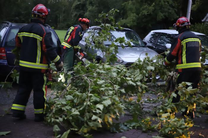 Grote tak breekt af belandt tussen twee auto's