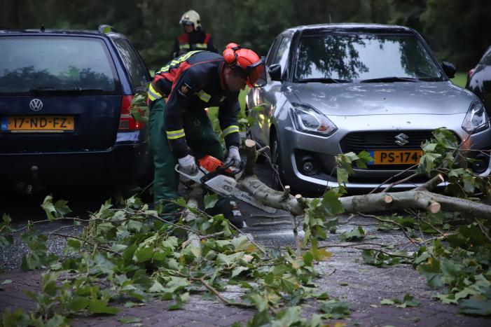 Grote tak breekt af belandt tussen twee auto's