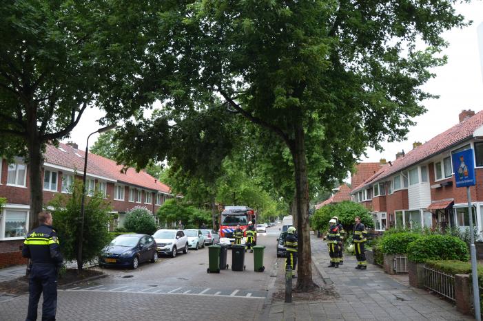 Gevaarlijke hangende takken uit boom gehaald