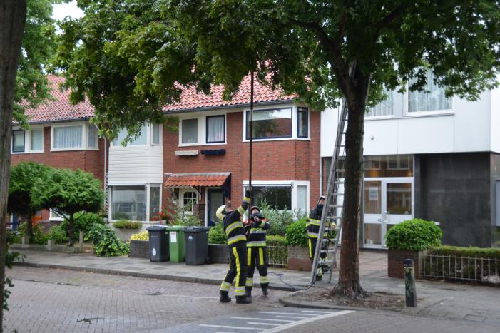 Gevaarlijke hangende takken uit boom gehaald