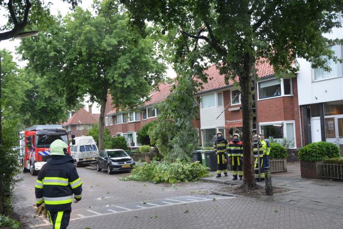 Gevaarlijke hangende takken uit boom gehaald
