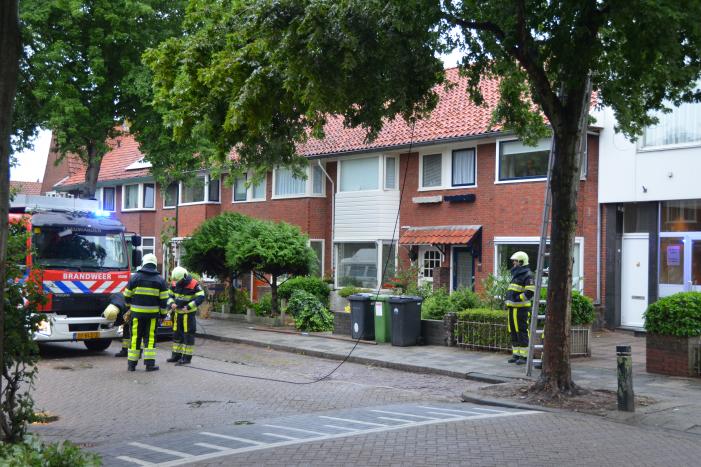 Gevaarlijke hangende takken uit boom gehaald