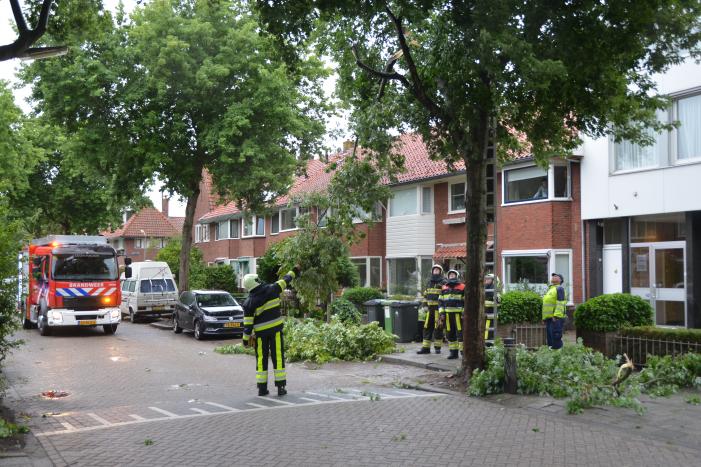 Gevaarlijke hangende takken uit boom gehaald