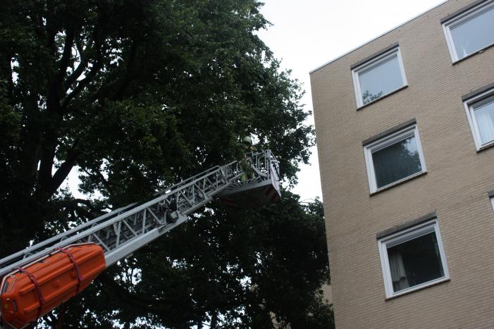Loshangende takken verwijderd voor ingang