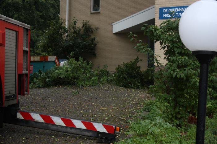 Loshangende takken verwijderd voor ingang