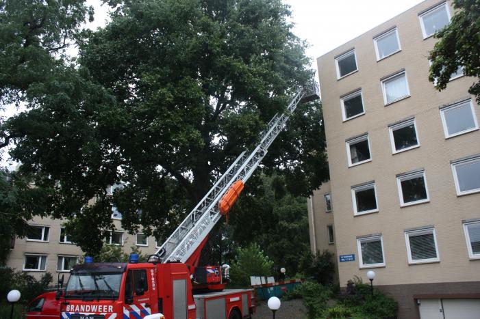 Loshangende takken verwijderd voor ingang