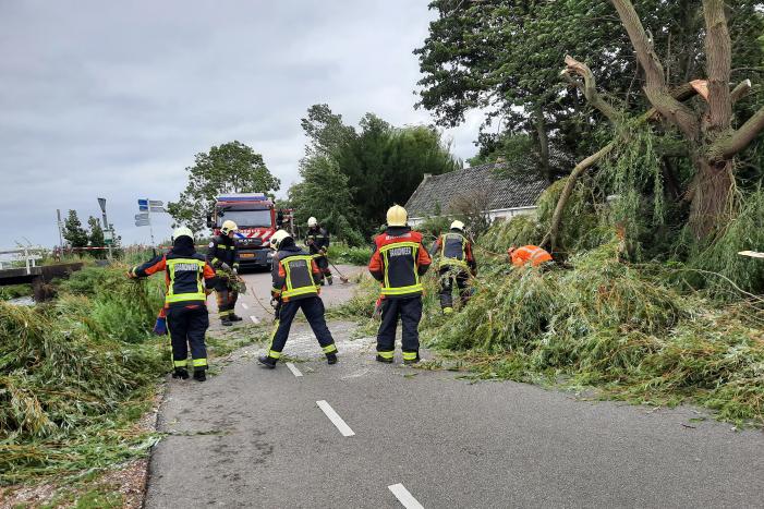 Storm Francis vernielt grote boom