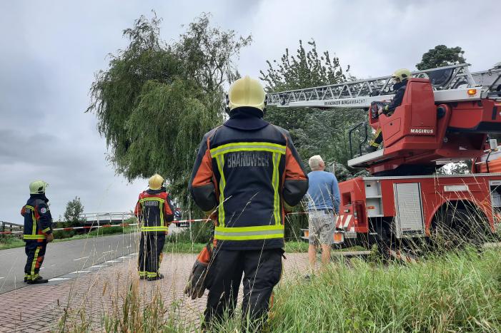 Storm Francis vernielt grote boom