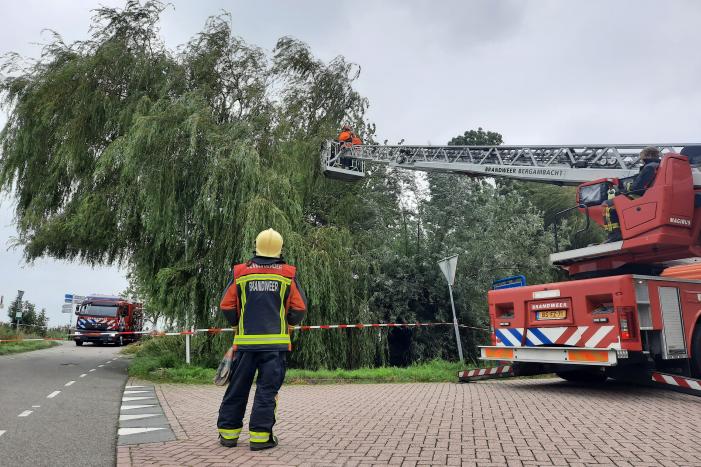 Storm Francis vernielt grote boom
