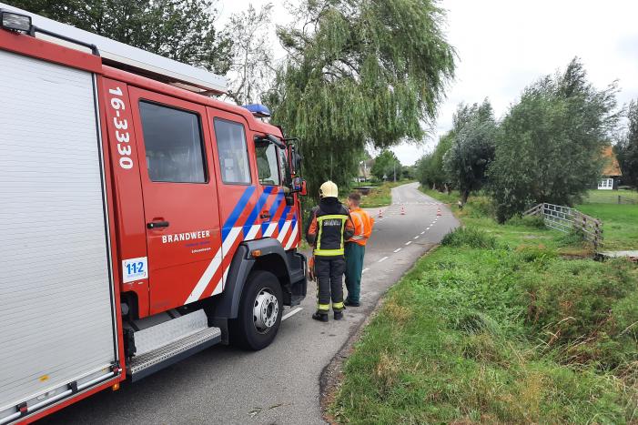 Storm Francis vernielt grote boom