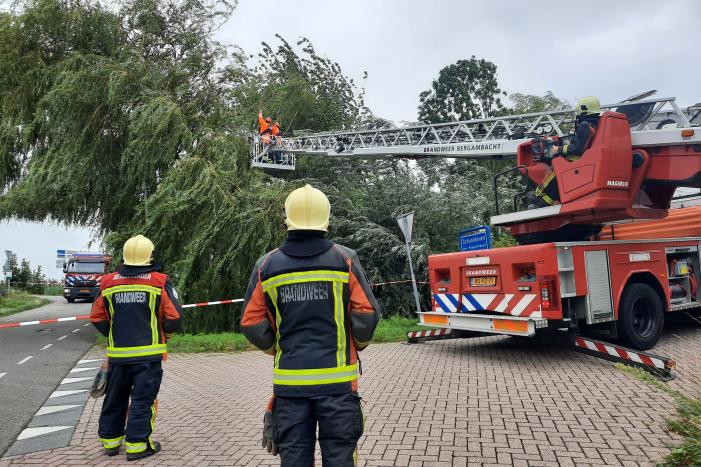 Storm Francis vernielt grote boom