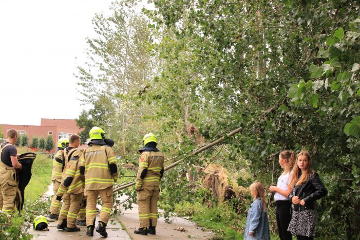 Storm Francis zorgt opnieuw voor omgewaaide takken en bomen