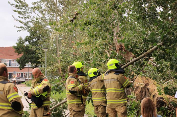 Storm Francis zorgt opnieuw voor omgewaaide takken en bomen