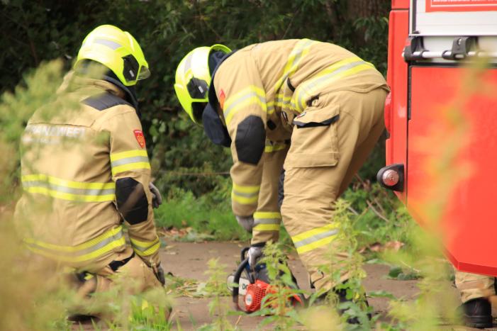 Storm Francis zorgt opnieuw voor omgewaaide takken en bomen
