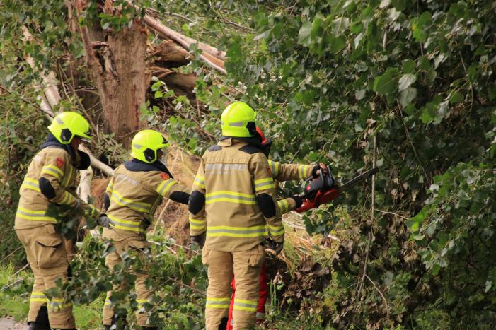 Storm Francis zorgt opnieuw voor omgewaaide takken en bomen