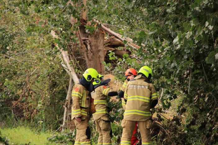 Storm Francis zorgt opnieuw voor omgewaaide takken en bomen