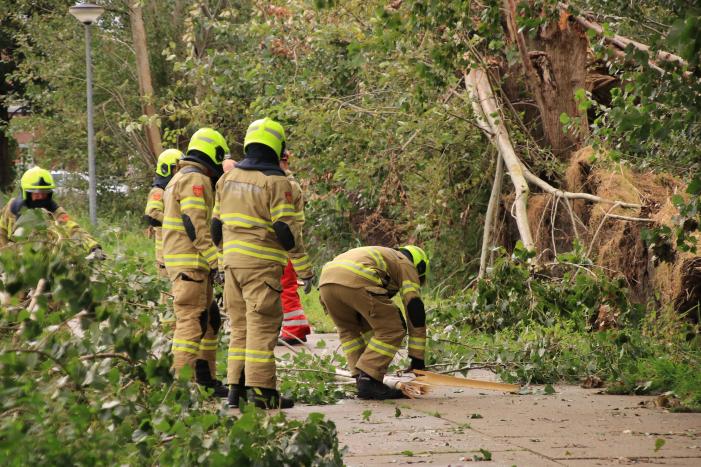 Storm Francis zorgt opnieuw voor omgewaaide takken en bomen