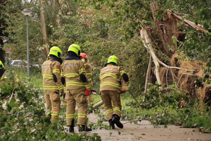 Storm Francis zorgt opnieuw voor omgewaaide takken en bomen