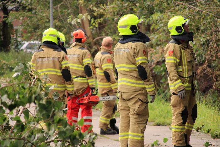 Storm Francis zorgt opnieuw voor omgewaaide takken en bomen
