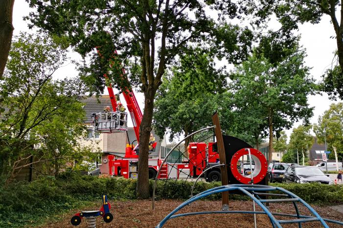 Gevaarlijk hangende tak bungelt boven speeltuin