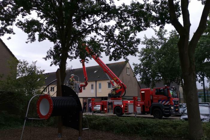 Gevaarlijk hangende tak bungelt boven speeltuin