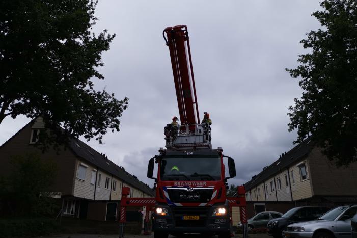 Gevaarlijk hangende tak bungelt boven speeltuin