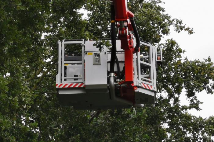 Gevaarlijk hangende tak bungelt boven speeltuin