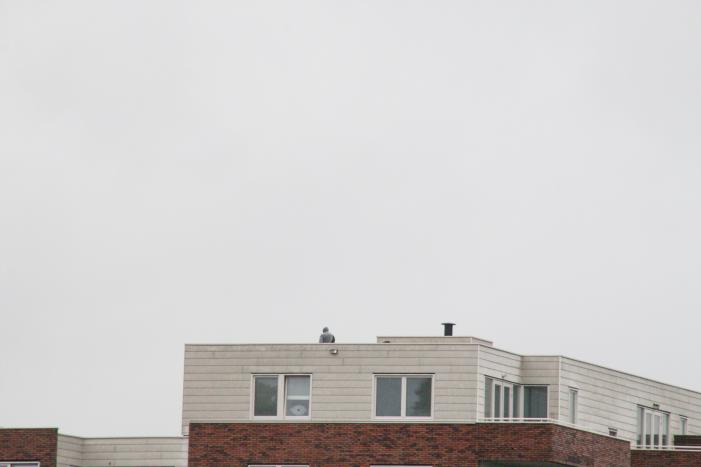 Man met verward gedrag gooit stenen vanaf dak naar agenten