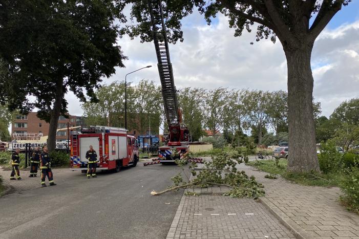 Brandweer verwijderd loshangende tak