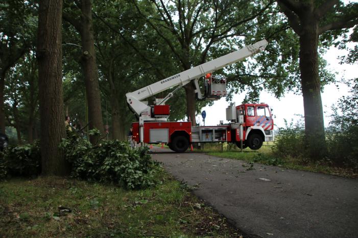 Loshangende takken zorgen voor gevaarlijke situatie boven fietspad