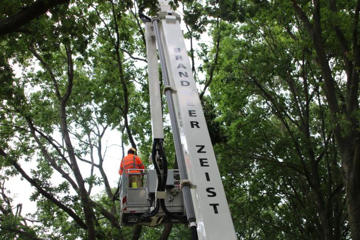Loshangende takken zorgen voor gevaarlijke situatie boven fietspad