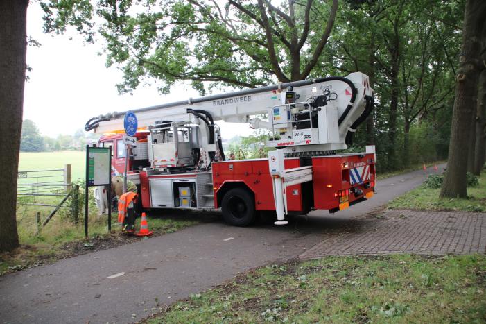Loshangende takken zorgen voor gevaarlijke situatie boven fietspad