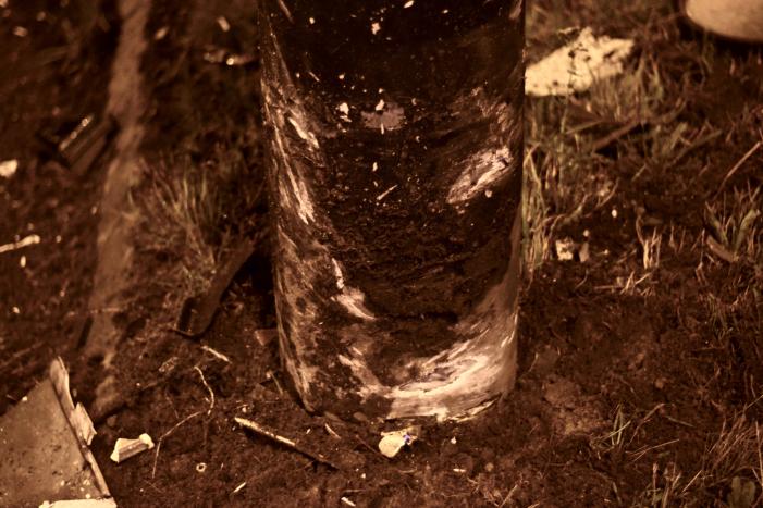 Automobilist borst frontaal op verkeerspaal