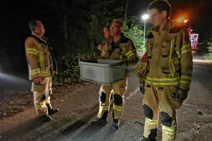 Jonge duiven gered na omgevallen boom