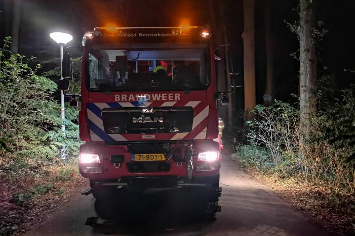 Jonge duiven gered na omgevallen boom