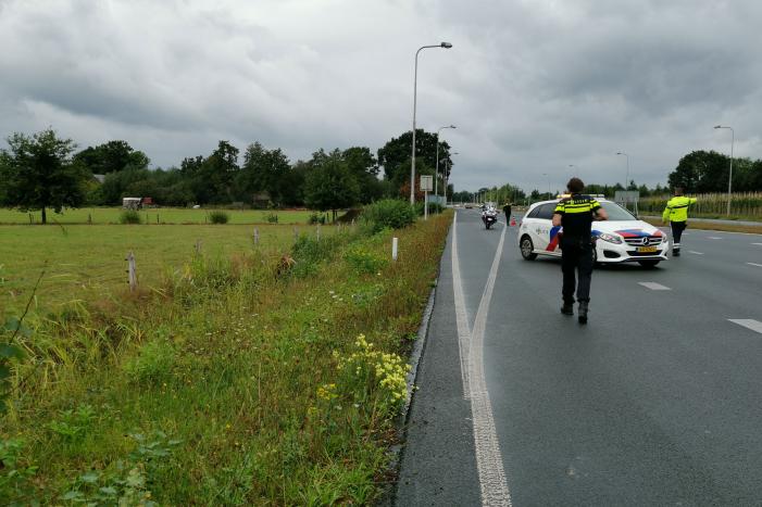 N781 afgesloten na loslopende koeien op de weg