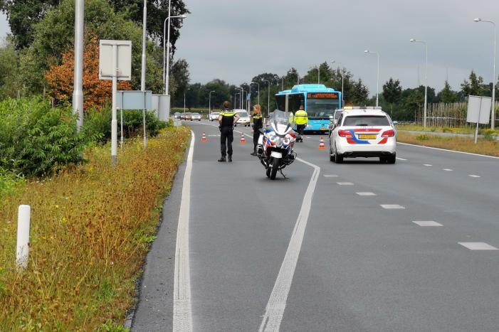 N781 afgesloten na loslopende koeien op de weg