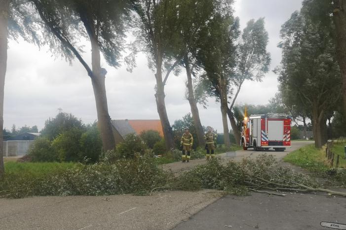 Brandweer verwijderd loshangende takken