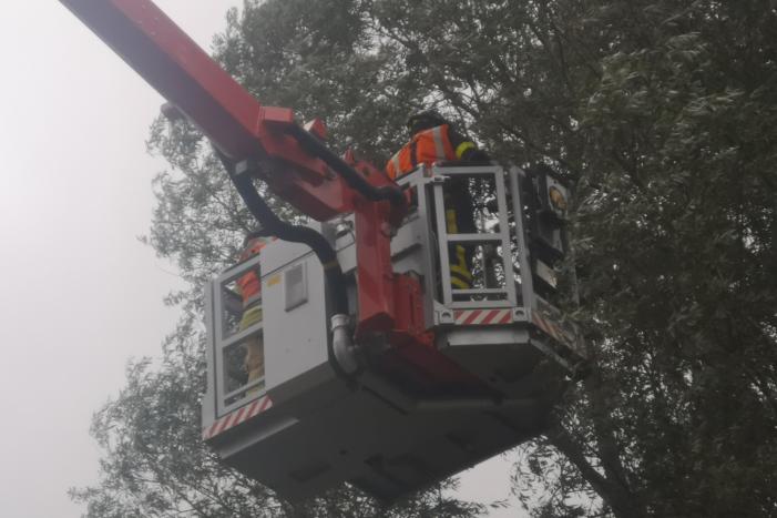 Brandweer verwijderd loshangende takken