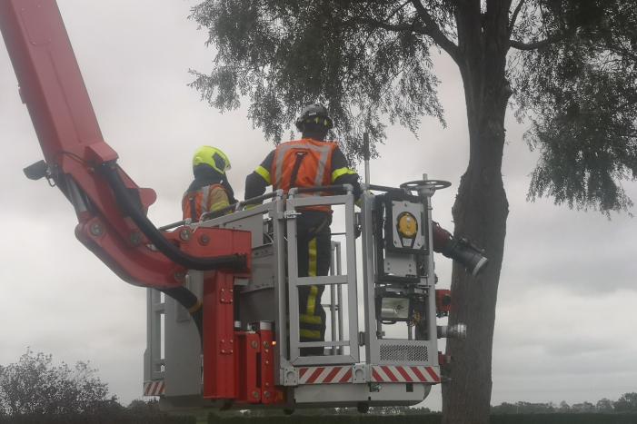 Brandweer verwijderd loshangende takken